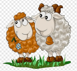 Товары для овец и коз