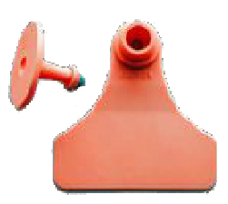 VF103&VM401_00-00001285