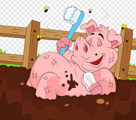 Товары для свиноводства